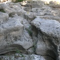 P1050743.JPG