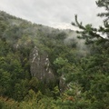 IMG_0220.jpg