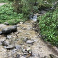 IMG_0228.jpg