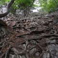 DSCF3587.JPG