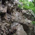 DSCF3597.JPG