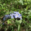 DSCF3624.JPG