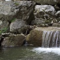 DSCF3681.JPG