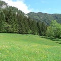 P1040857.JPG