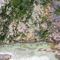 115-1574_IMG.JPG