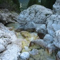 116-1630_IMG.JPG