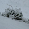 dscf0043.jpg