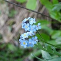 dscf0205.jpg