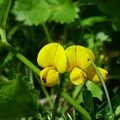 dscf0206.jpg