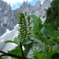 dscf0213.jpg