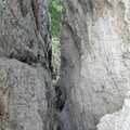 DSCF2860.JPG