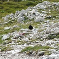 DSCF2877.JPG
