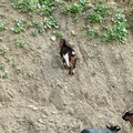 DSCF2920.JPG