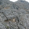 DSCF2922.JPG