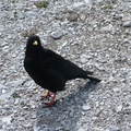 DSCF3009.JPG