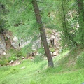 DSCF3112.JPG