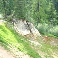 DSCF3117.JPG