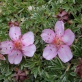 DSCF3150.JPG